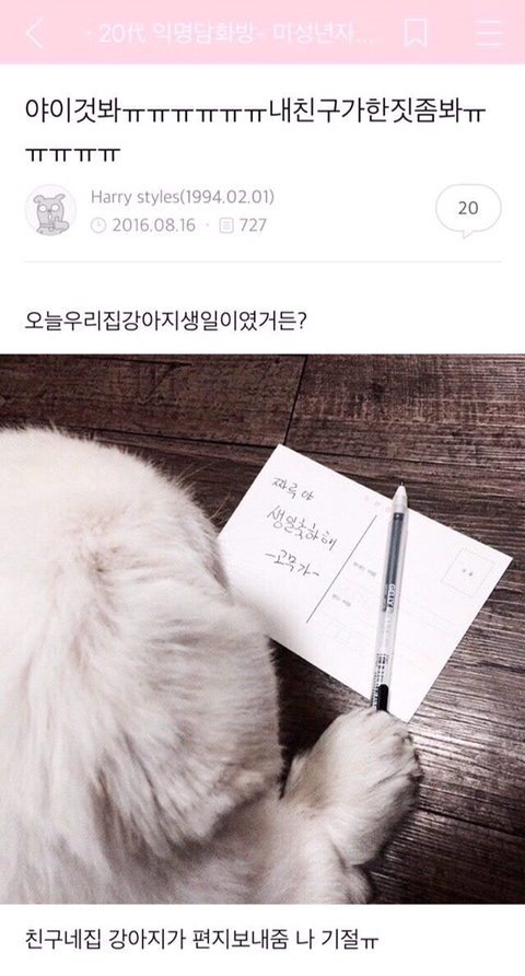 반려동물들의 귀여운 익웃 | 인스티즈