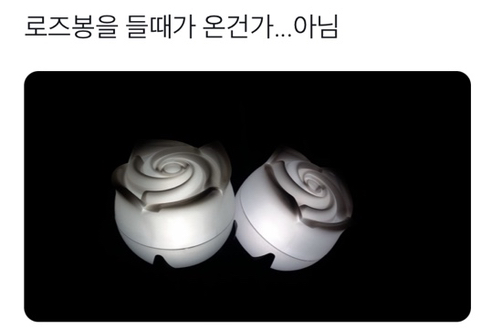 현재 하이라이트 팬들의 탐라는 비스트로 가득차있다 | 인스티즈