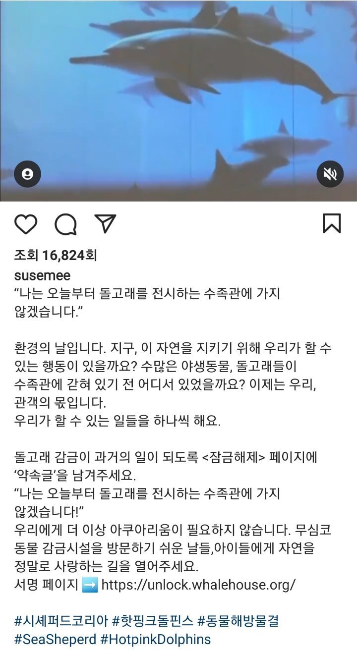 선한 영향력을 보여주는 배우 임세미의 인스타 피드 | 인스티즈