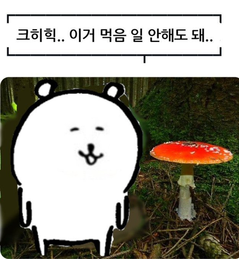 계란찜 좋아하면 사야하는거.jpg | 인스티즈