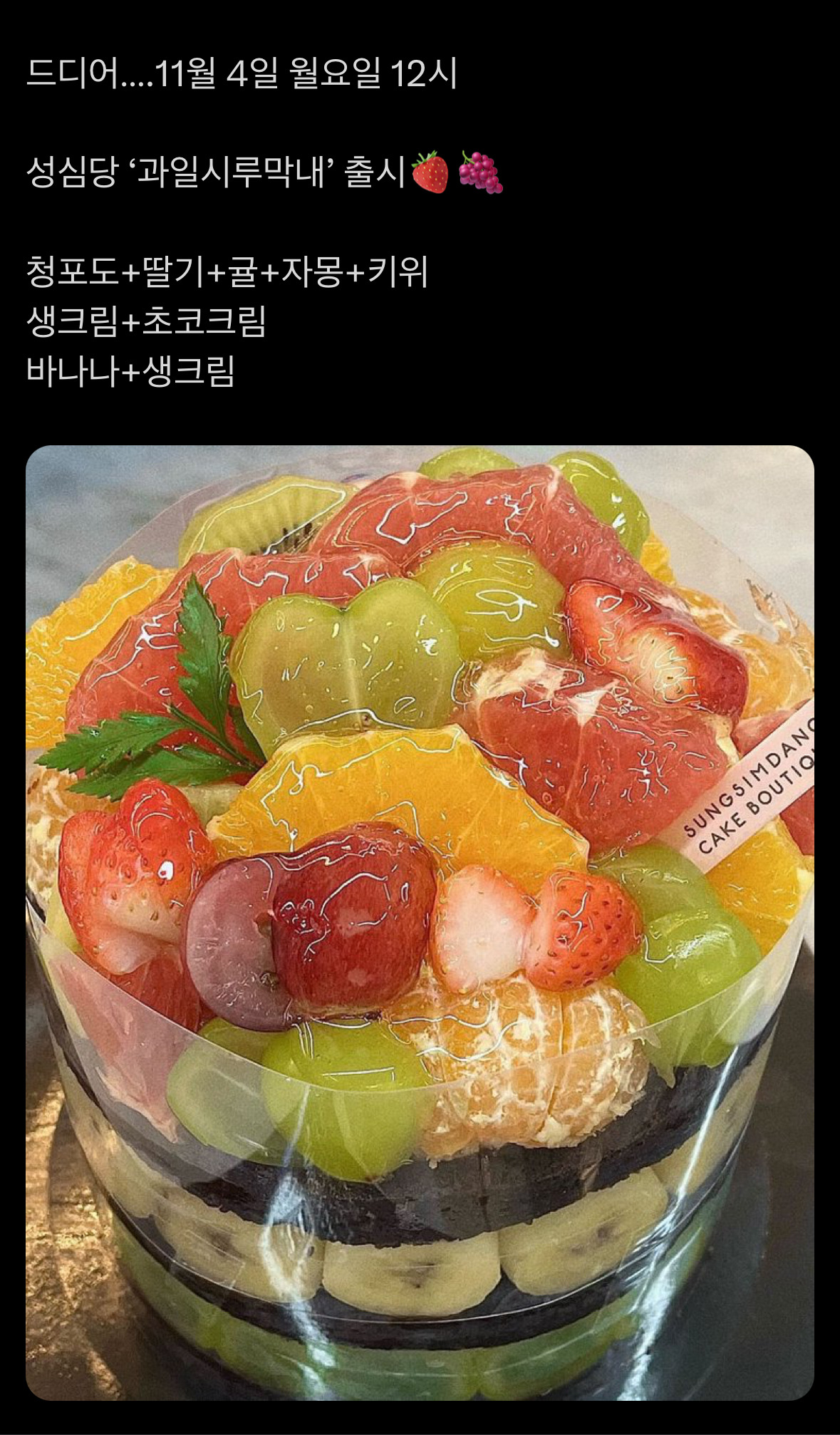 성심당 '과일시루막내' 출시 | 인스티즈