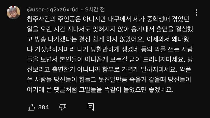 핫게 간 고데기 학폭 피해자분이 남긴 유튜브 댓글 | 인스티즈