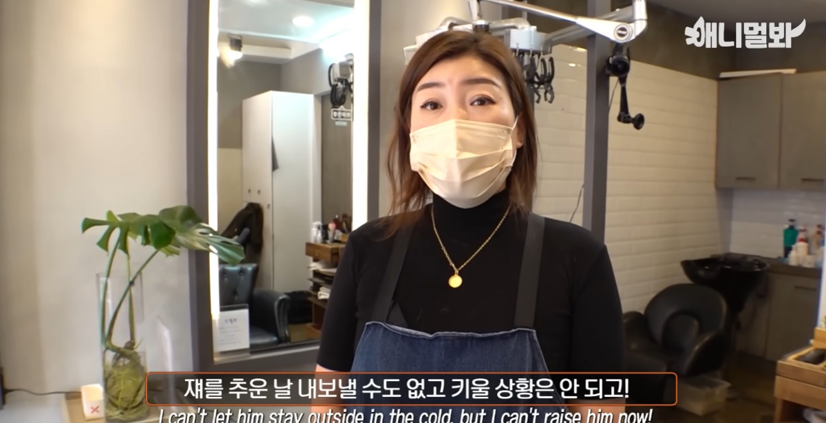 미용실 오픈런 하던 고양이의 근황 | 인스티즈