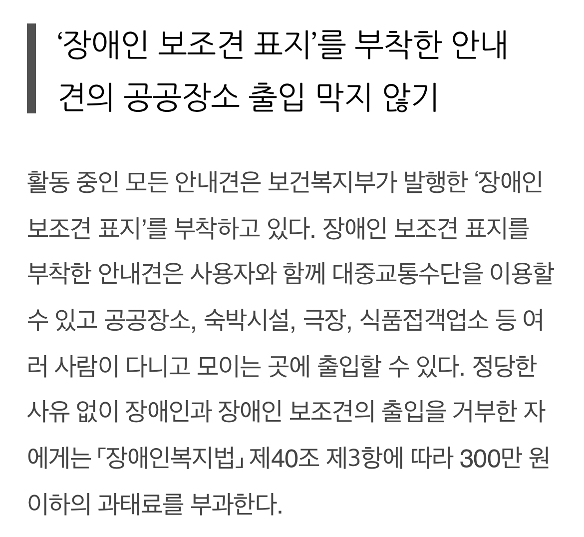 아직도 안내견 거부하는 식당 | 인스티즈