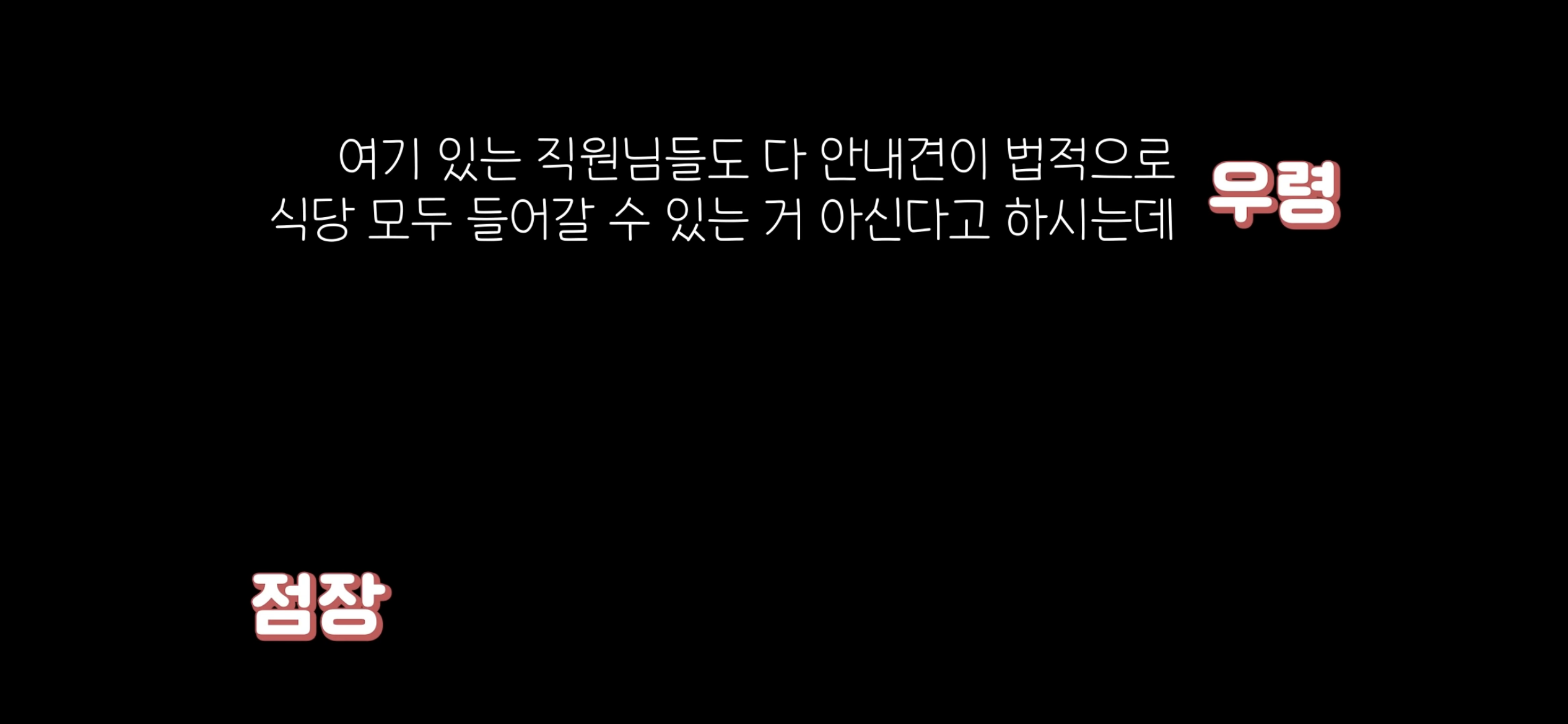 아직도 안내견 거부하는 식당 | 인스티즈