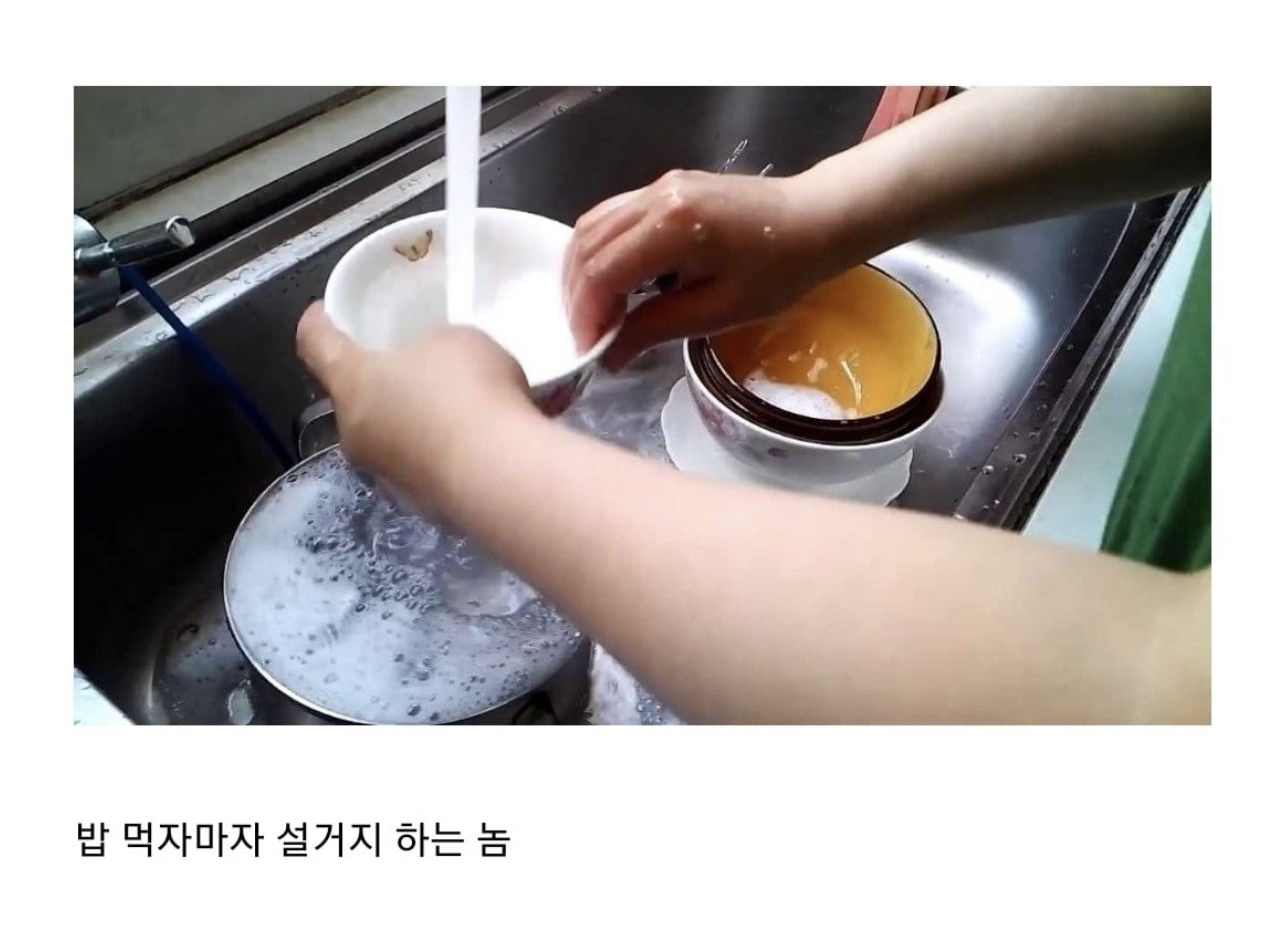 자취하면서 느낀 독종 BEST 3.jpg | 인스티즈