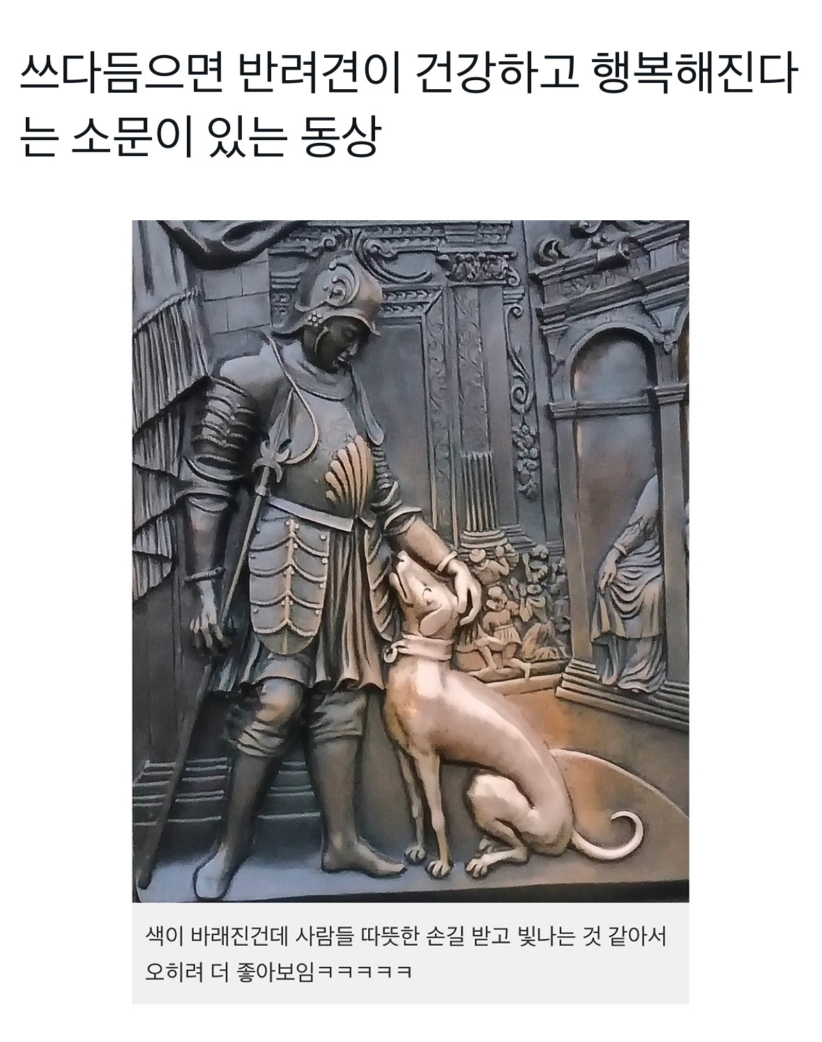 15살 강아지. . 가서 만지고 왔어요. 건강하게 잘 지내는 중입니다 | 인스티즈