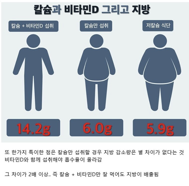 칼슘이 부족하면 살이 안 빠지는 이유 | 인스티즈
