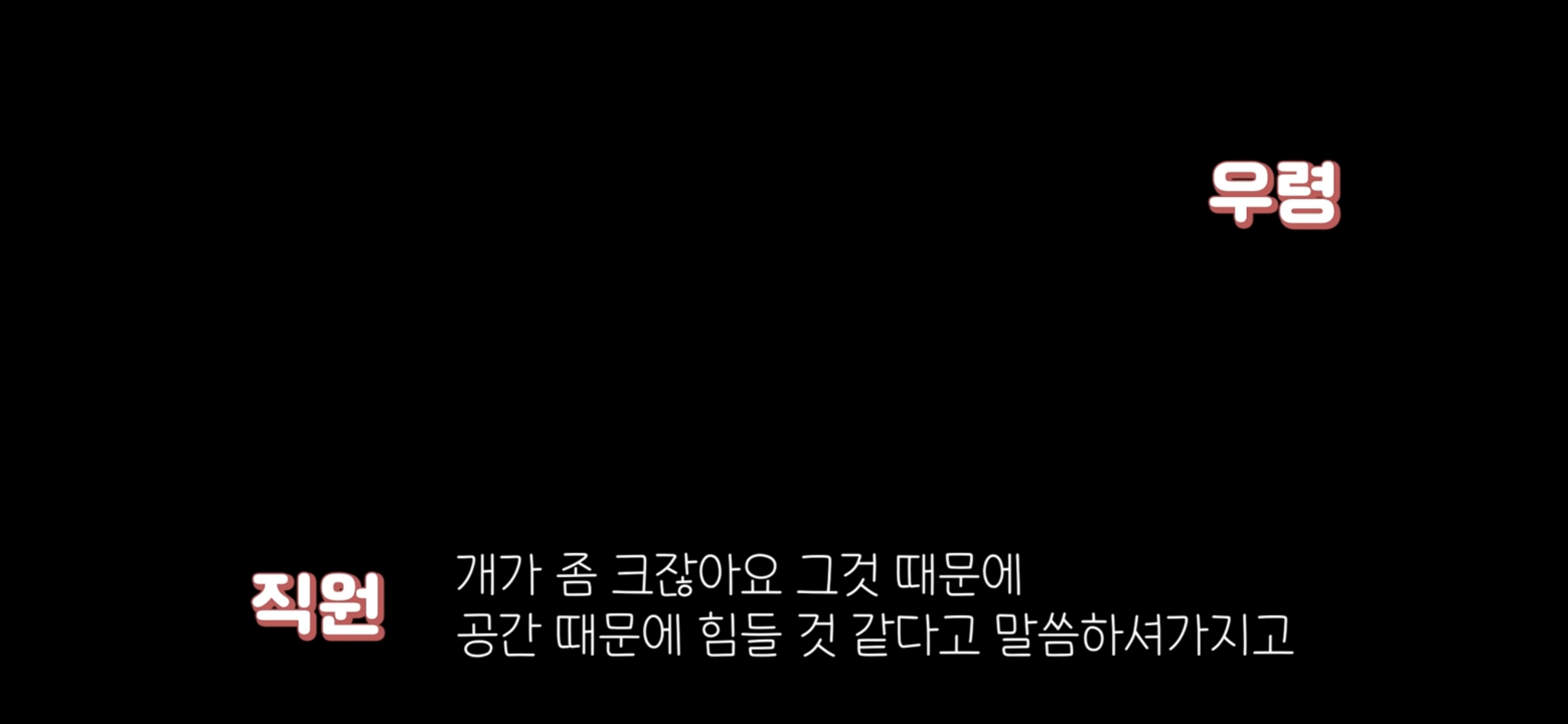 아직도 안내견 거부하는 식당 | 인스티즈