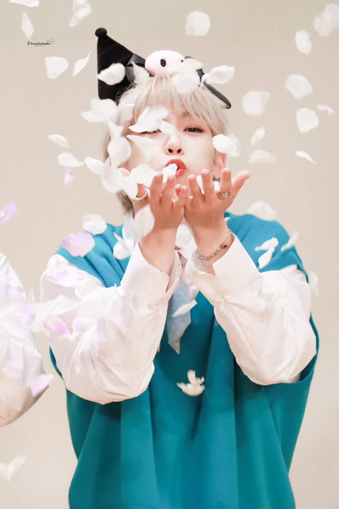 씨스테이 이미지