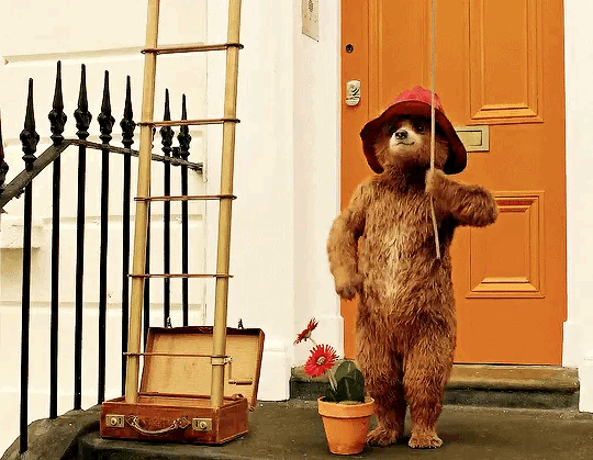 약 7년만에 돌아오는 패딩턴 세번째 이야기 패딩턴 인 페루 예고편 공개🍊🐻 | 인스티즈