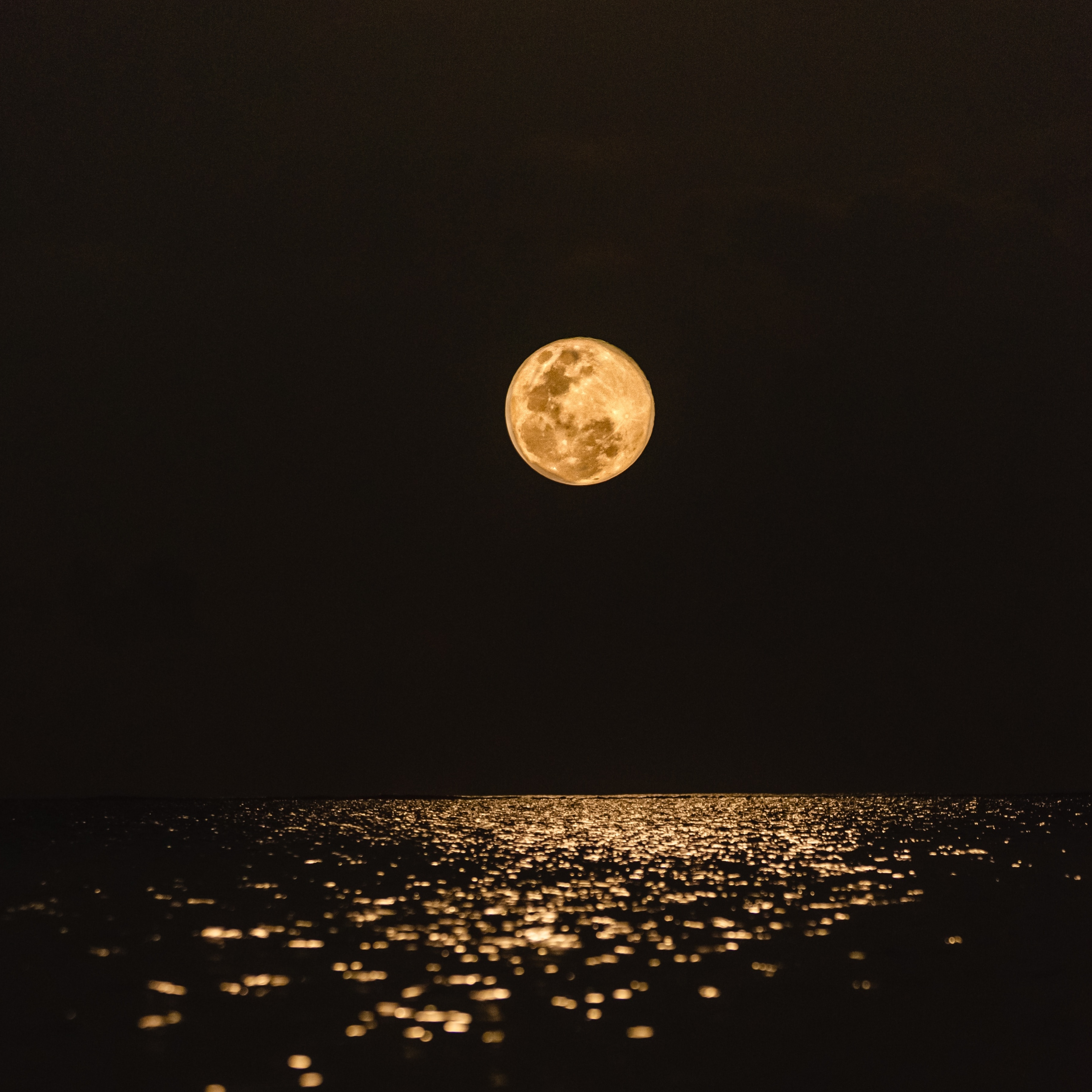 공포게임 속에 들어와버린 당신, 배 안에서 탈출할 수 있을까요?(무서운이미지 없음!) | 인스티즈