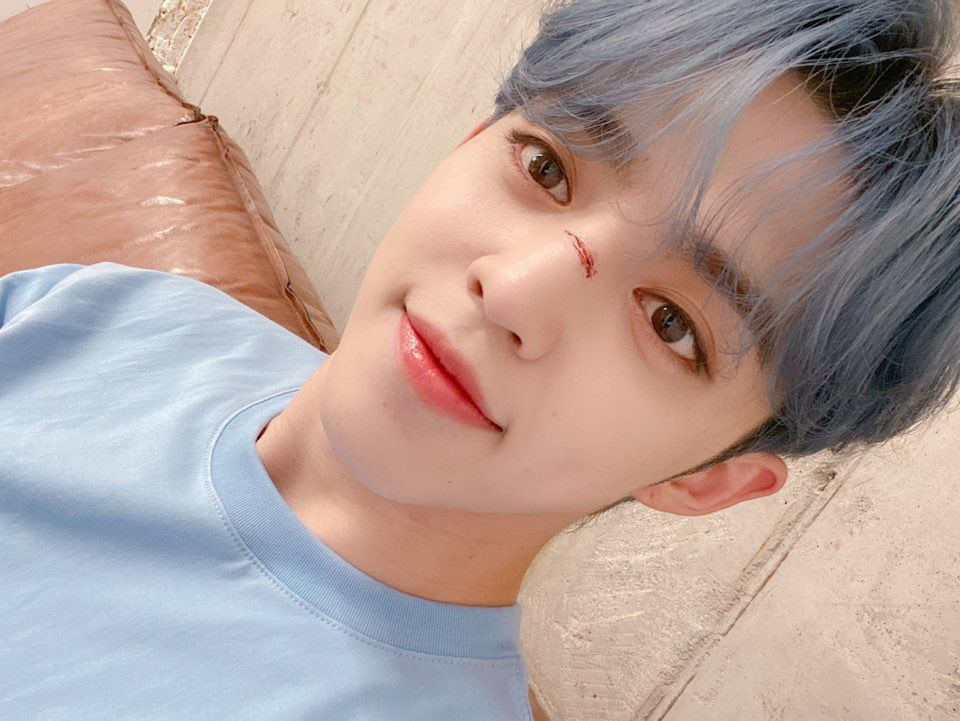 쿱스 이미지