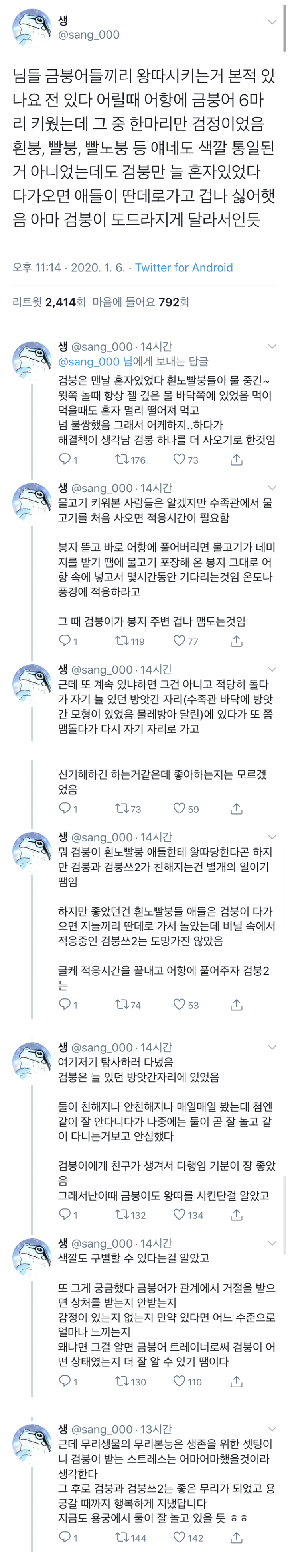 님들 금붕어들끼리 왕따시키는거 본적 있나요.twt | 인스티즈