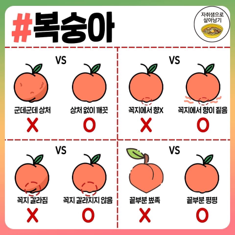 맛있는 과일 고르는 방법.jpg | 인스티즈
