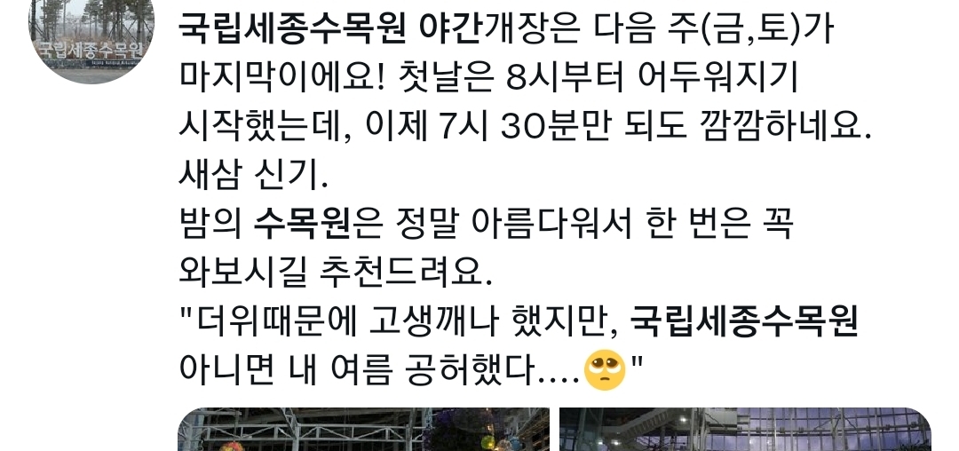 야간개장한 국립세종수목원 | 인스티즈