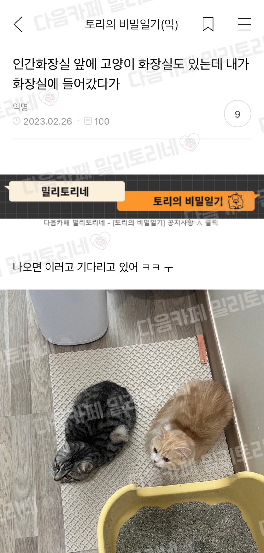 인간화장실 앞에 고양이화장실도 있는데 | 인스티즈