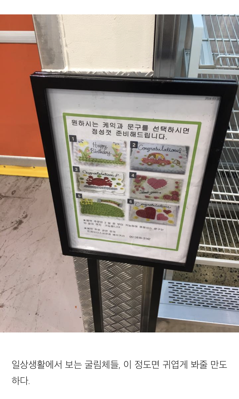 굴림체가 존나 싫은 디자이너의 글 | 인스티즈