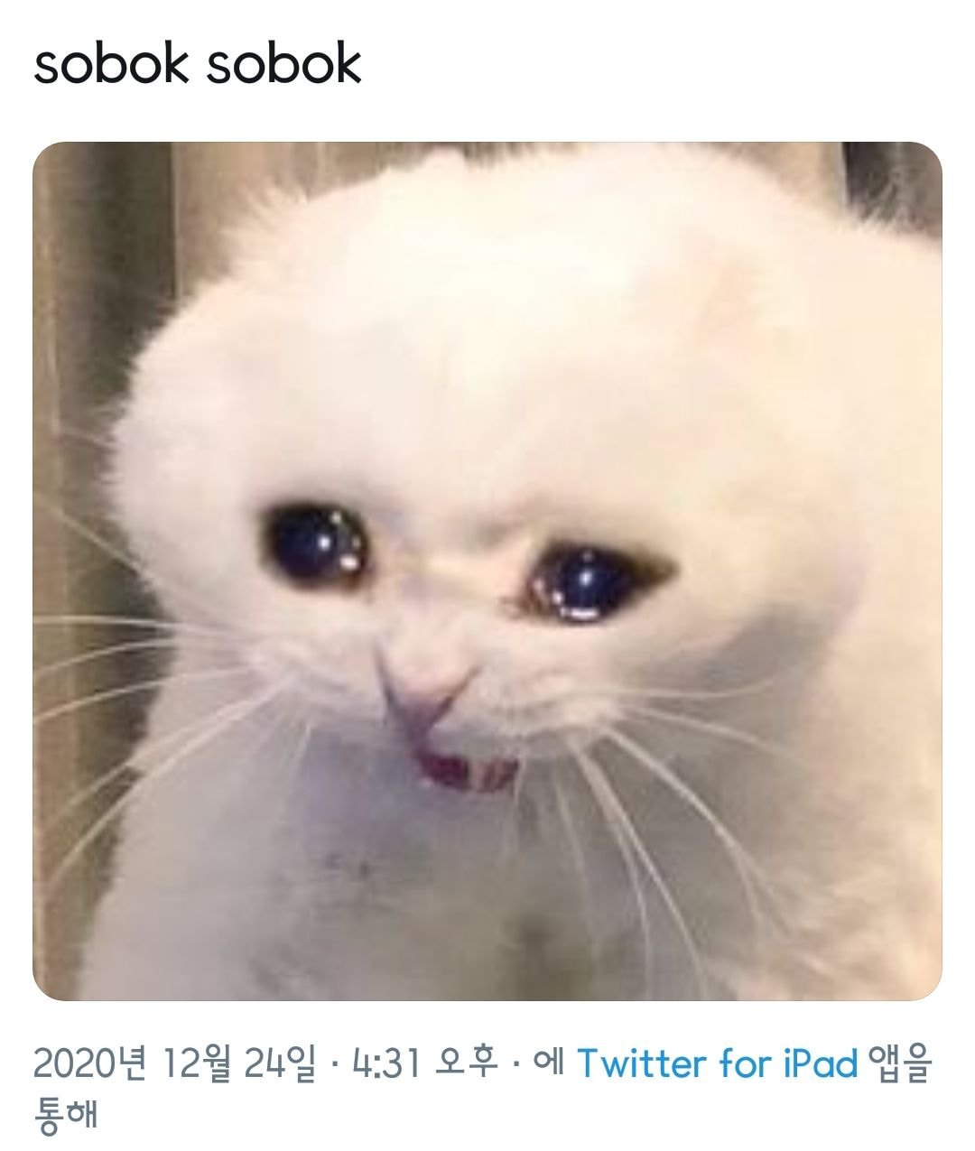 한국어 단어 하나 때문에 난리난 방탄소년단 해외 팬덤 | 인스티즈