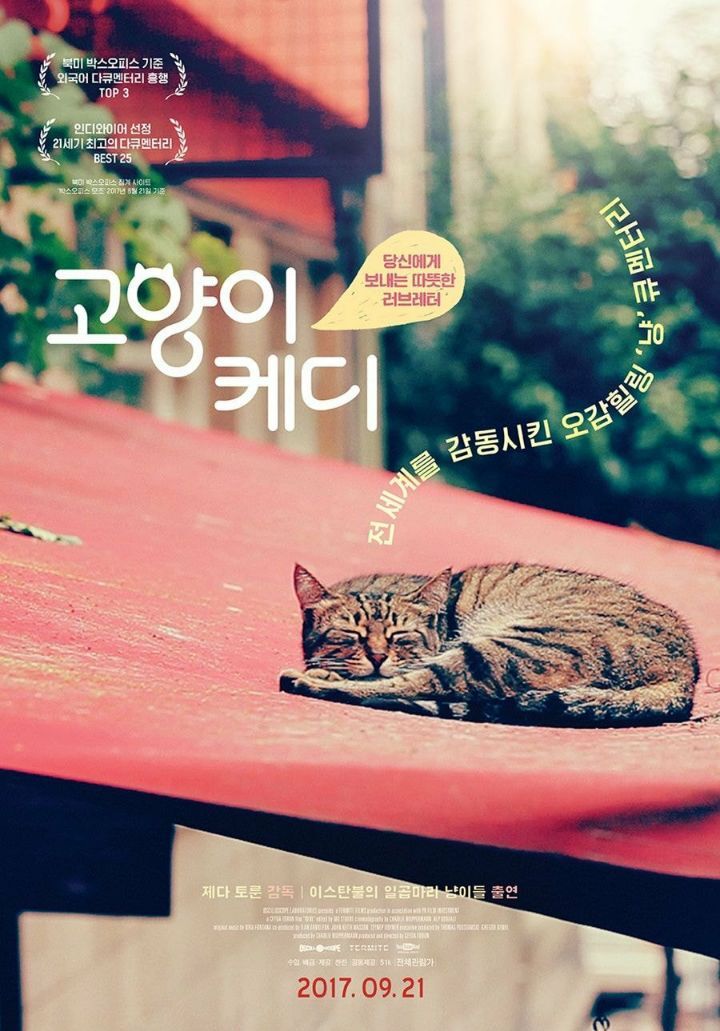 소지섭이 수입해온 다양한 영화들 | 인스티즈