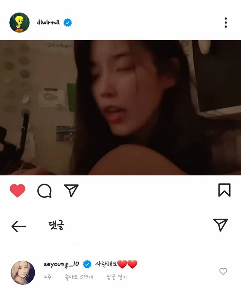 자꾸만 인스타 댓글로 아이유한테 사랑고백하는 배우 이세영 | 인스티즈