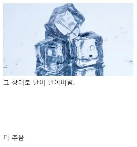 찐 수족냉증 사람들이 수면양말 안 신는 이유 | 인스티즈