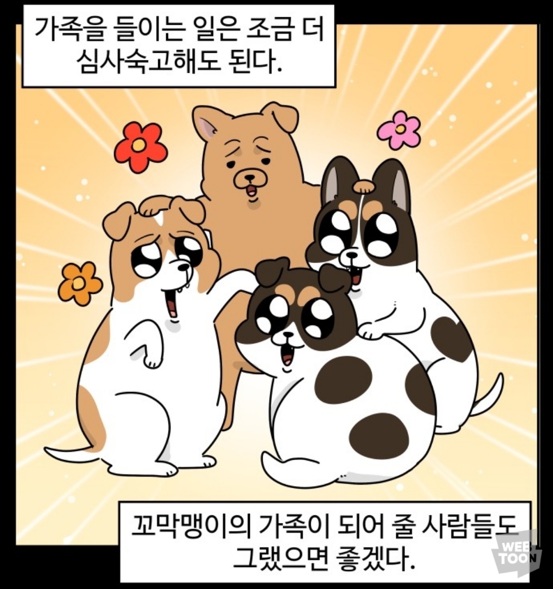 과하다 vs 이 정도는 해야한다 의견 갈렸던 유기견 입양신청서 | 인스티즈