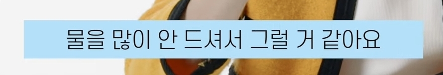 유튜브 해줬으면 하는 부승관의 애장품 소개영상 (feat.부승관리) | 인스티즈