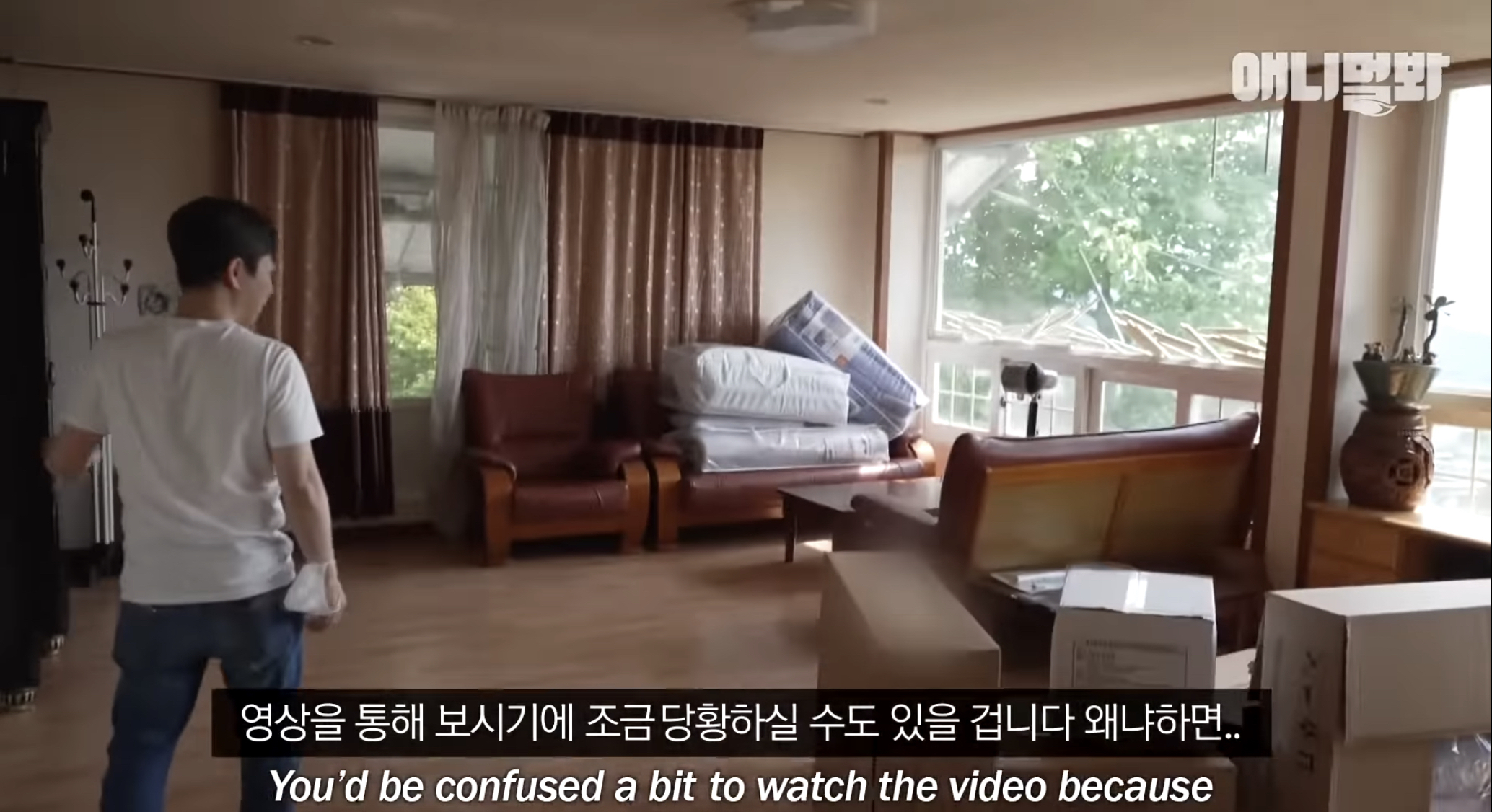 유기견들의 입양을 위해 논산에 집을 산 사람 | 인스티즈