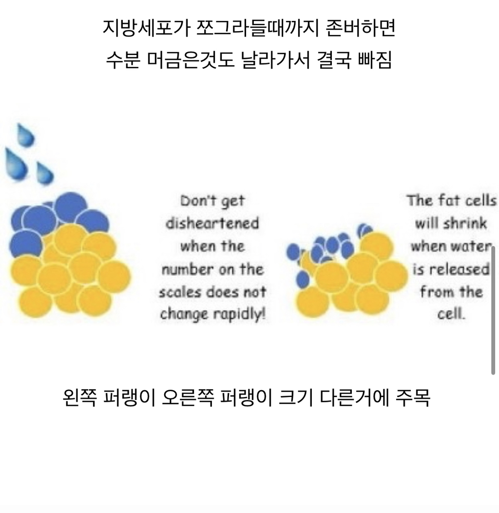 다이어트 하는데 몸무게가 오히려 늘어 | 인스티즈