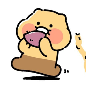 춘식이 프사 공유 | 인스티즈