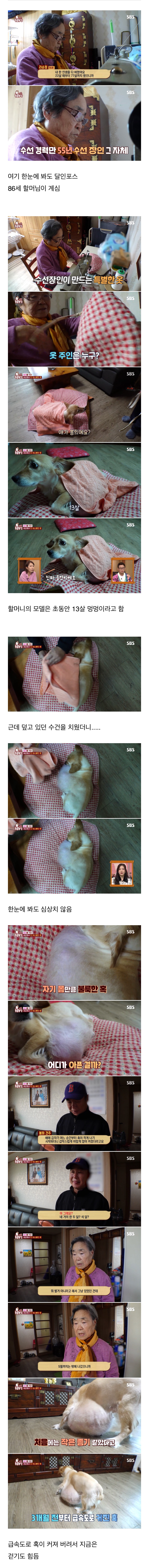 결국 80대 할머님을 울게 만든 방송국 제작진들..jpgif | 인스티즈