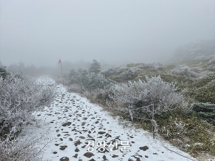 "제주 한라산에 첫눈이 내렸어요”···삼각봉 11.8㎝ 쌓여 | 인스티즈