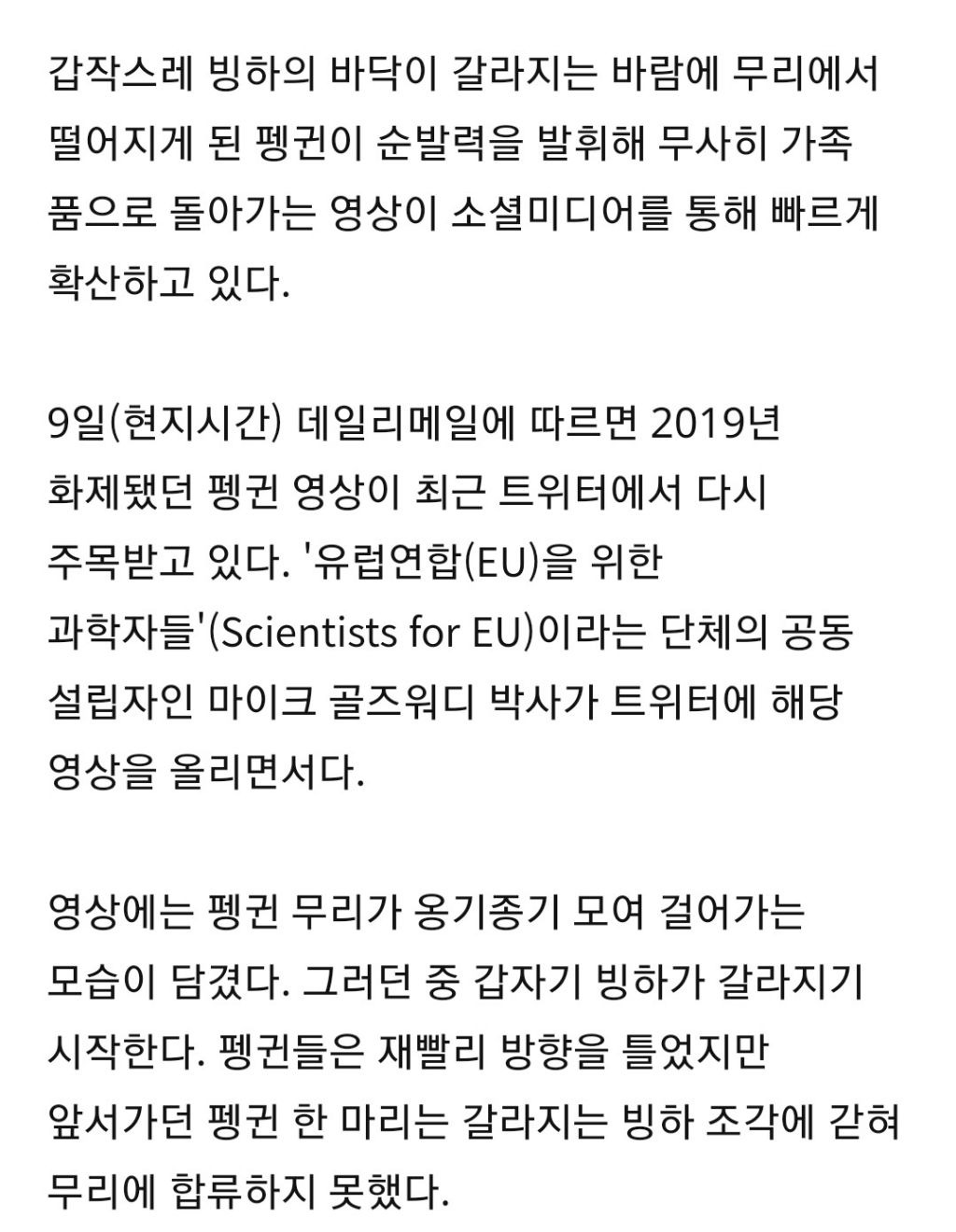 깨진 빙하 조각 위에 홀로 남겨진 펭귄…극적인 탈출 | 인스티즈