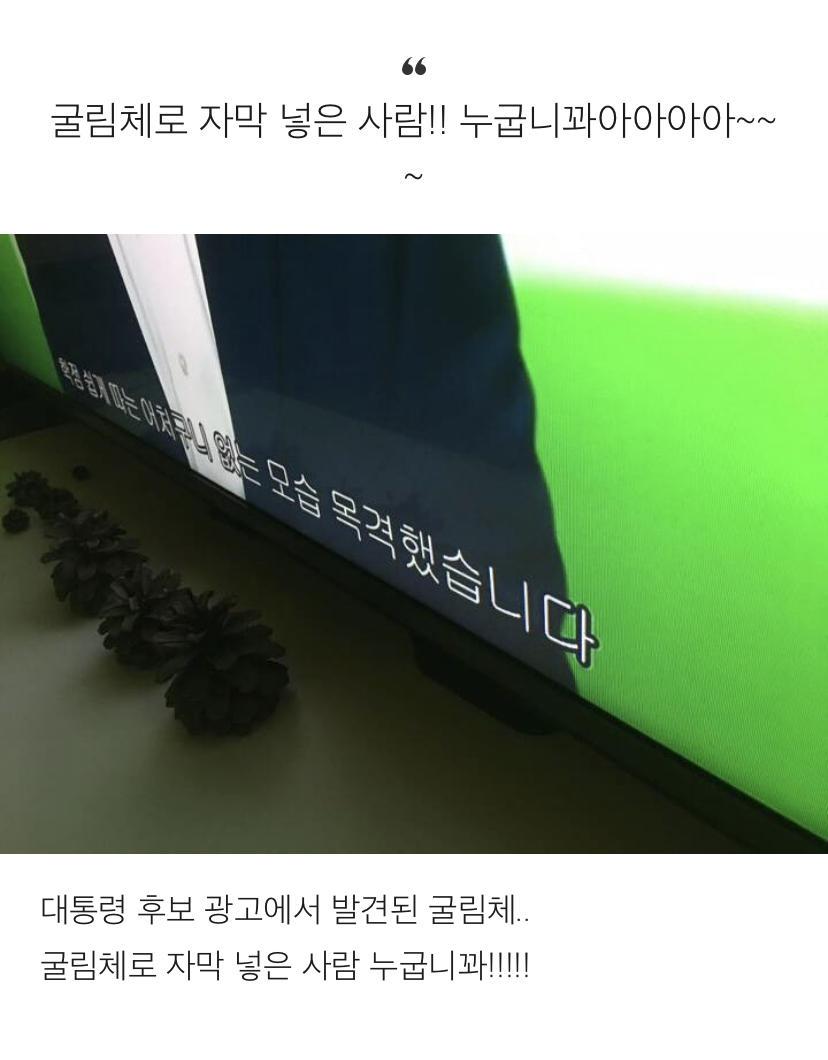 굴림체가 존나 싫은 디자이너의 글 | 인스티즈