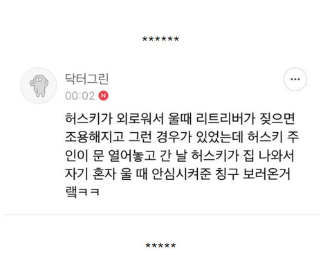 강아지 짤 모음(개많음) | 인스티즈