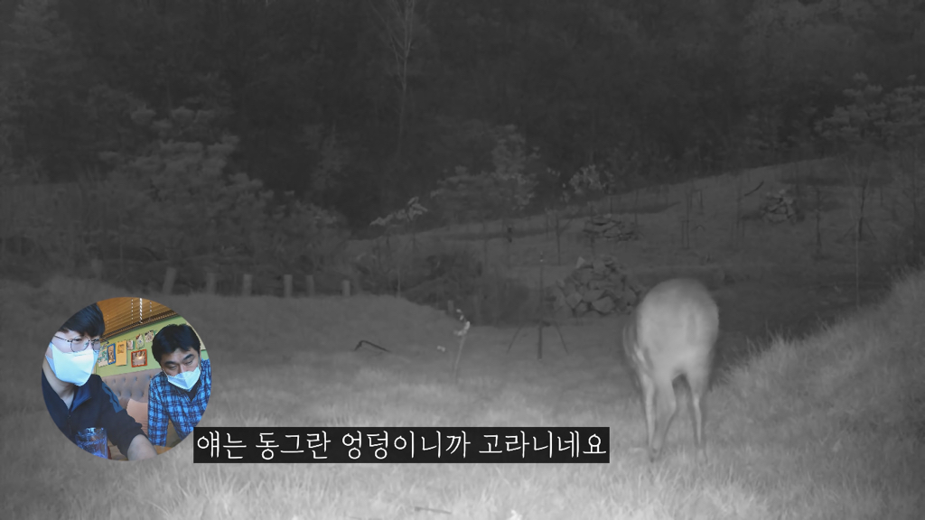 고속도로에 있는 생태통로 진짜 야생동물이 다닐까? | 인스티즈