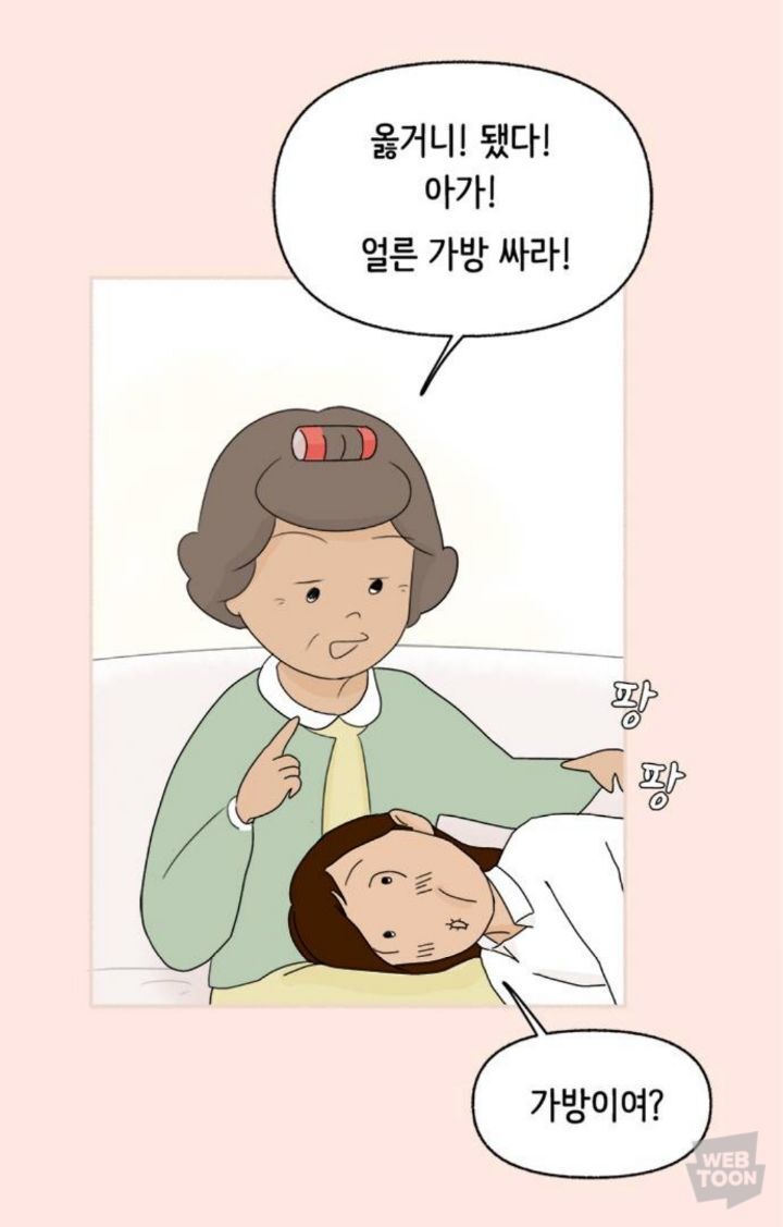 직장이랑 가까워서 할머니집에서 살게됐는데 더 일찍 일어나는거 실화? | 인스티즈