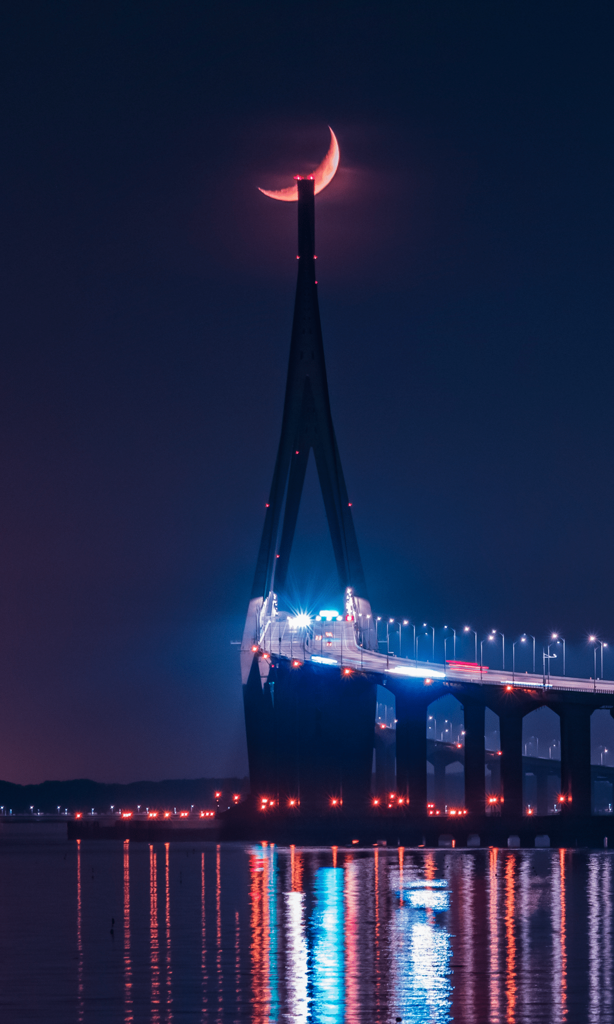 치킨 2마리 걸고 사진대회 열자 2시간 만에 나온 작품들. jpg | 인스티즈