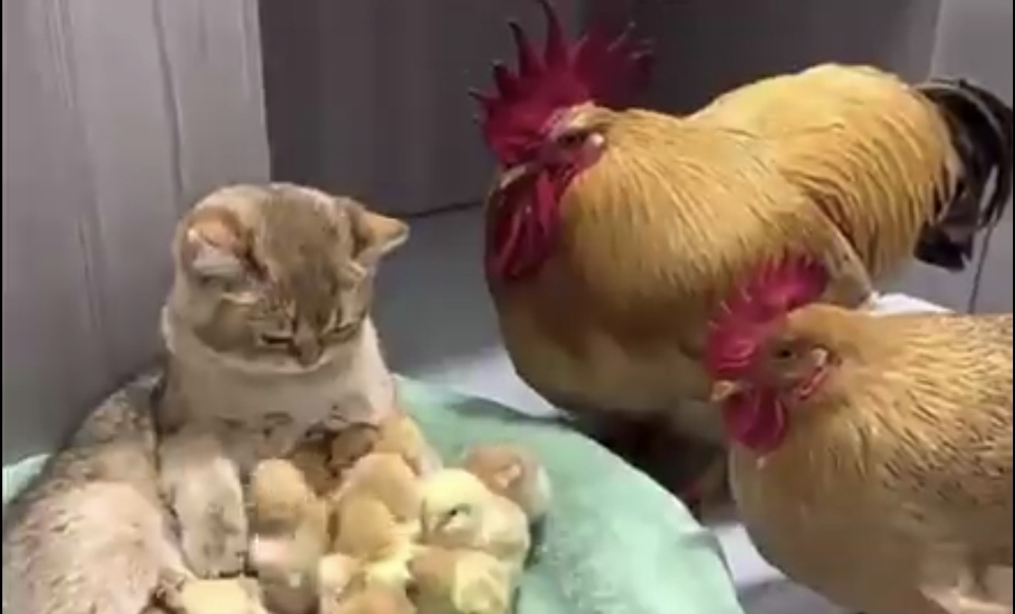 어이없어서 말도 안나오는 상황 | 인스티즈