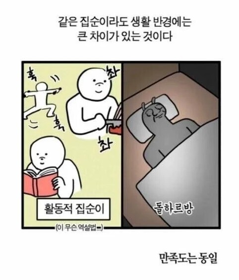 집순이도 차이가 있다 | 인스티즈