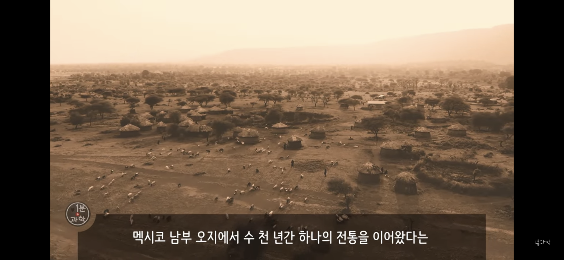 전세계에서 금지된 마약 | 인스티즈