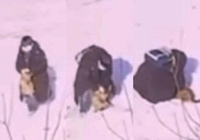 양구 고양이 학대범이 10세 미만 초등생이라니…처벌 고심 | 인스티즈