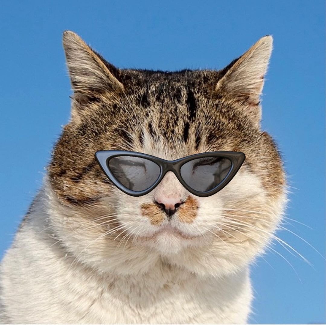 대두라고 불리는 아이 | 인스티즈