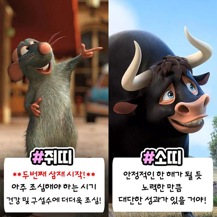 2023년 계묘년 띠별 운세모음 | 인스티즈