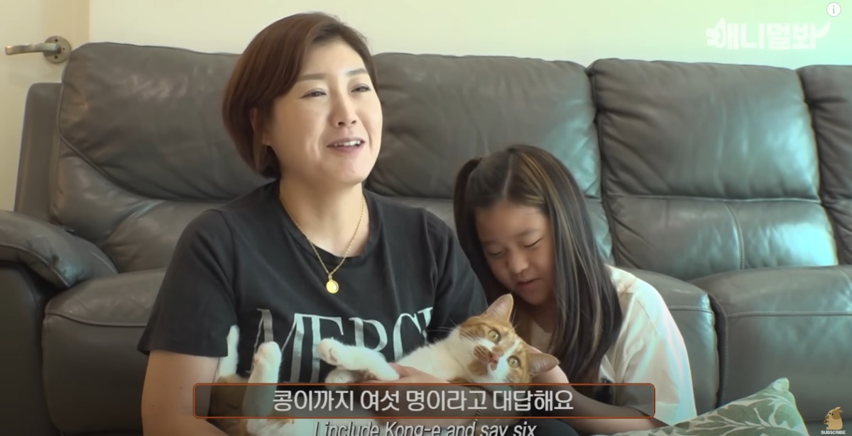 미용실 오픈런 하던 고양이의 근황 | 인스티즈