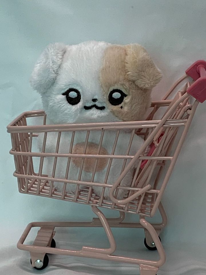 요즘 아이돌 팬들 사이 덕질 필수템 중에 하나인 것 | 인스티즈