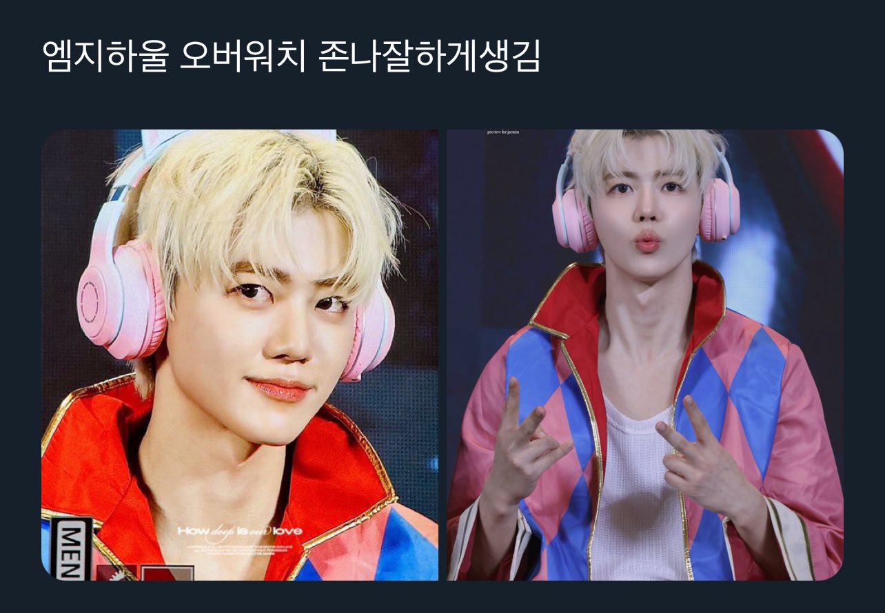 하울 이미지