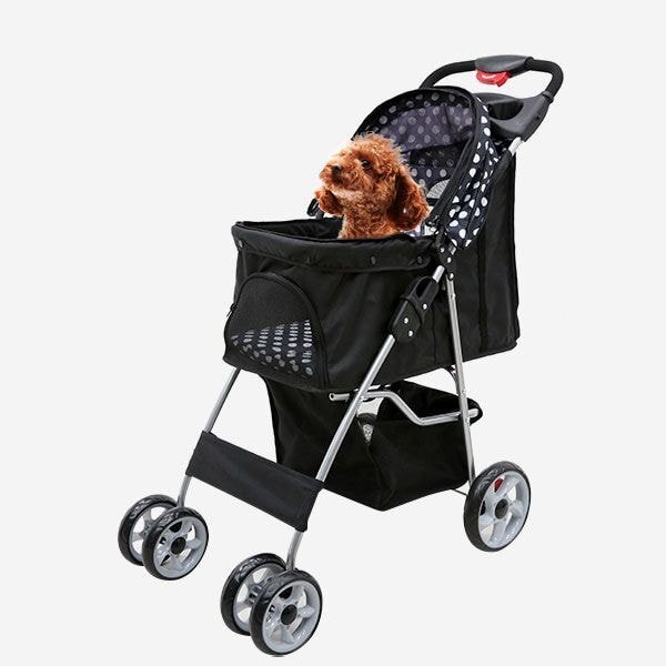 이거 사용하면서 한번쯤은 이유없는 욕 들어본 사람 있을거 같은 애견용품 | 인스티즈