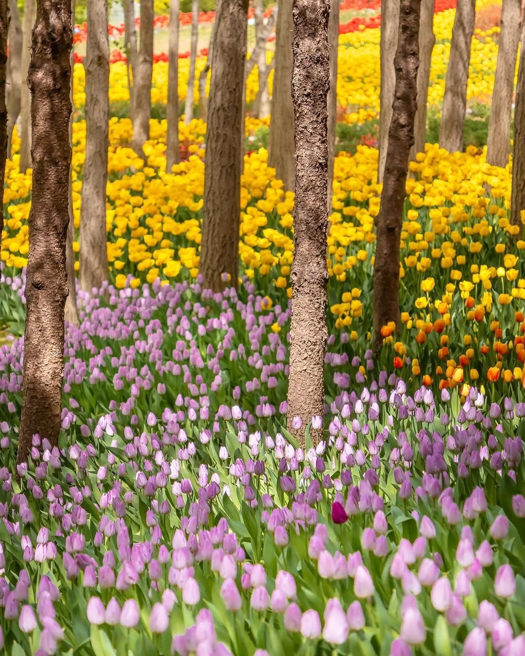 한국관광공사 계정에서 볼 수 있는 한국 | 인스티즈